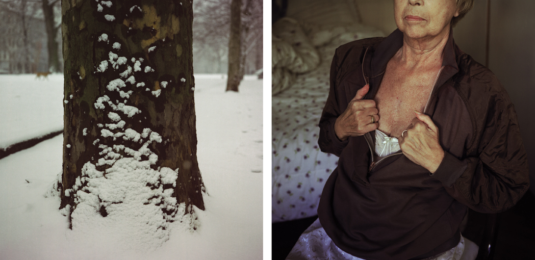 Mimesis_Szankay_Diptico3