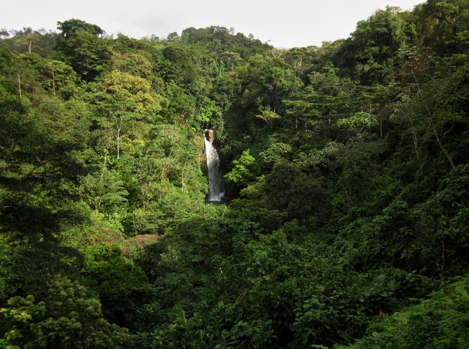 From the series, ©Lorena Endara