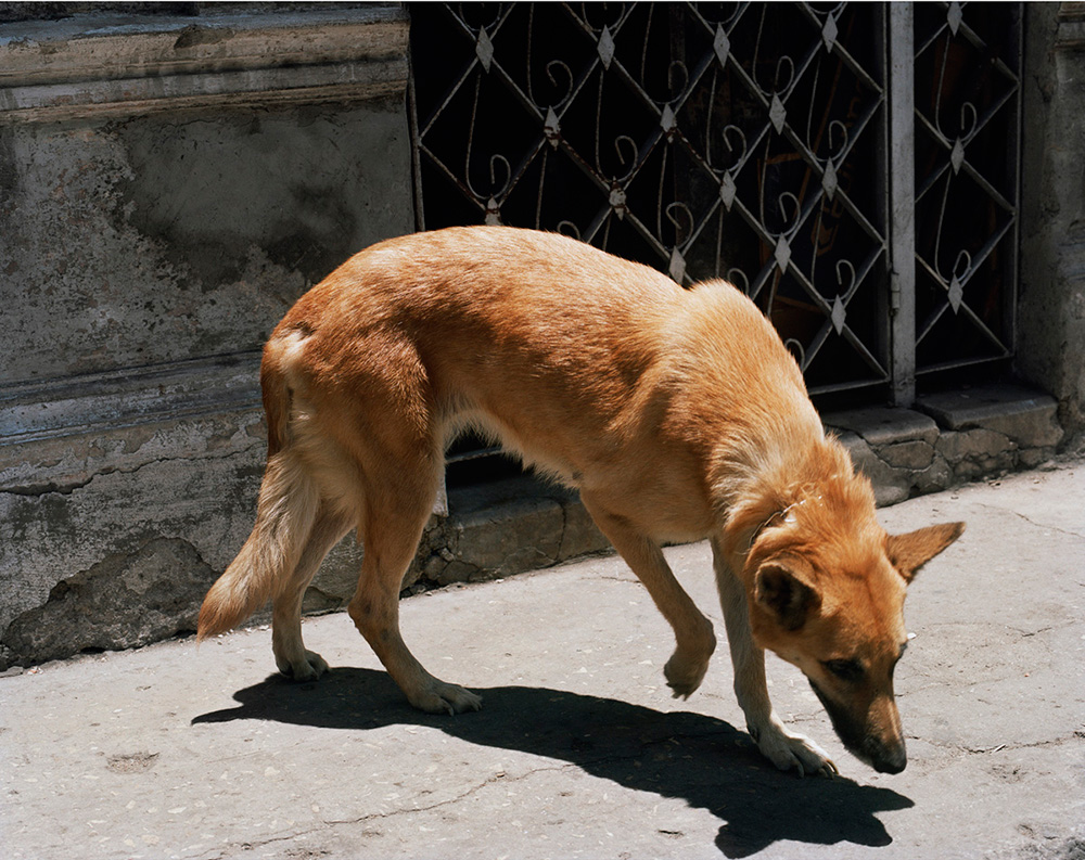 From the series, El Libro Supremo de la Suerte. ©Rose Marie Cromwell