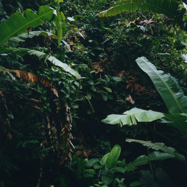 From the series, NAMA BU. © Karen Paulina Biswell.