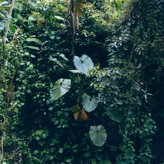 From the series, NAMA BU. © Karen Paulina Biswell